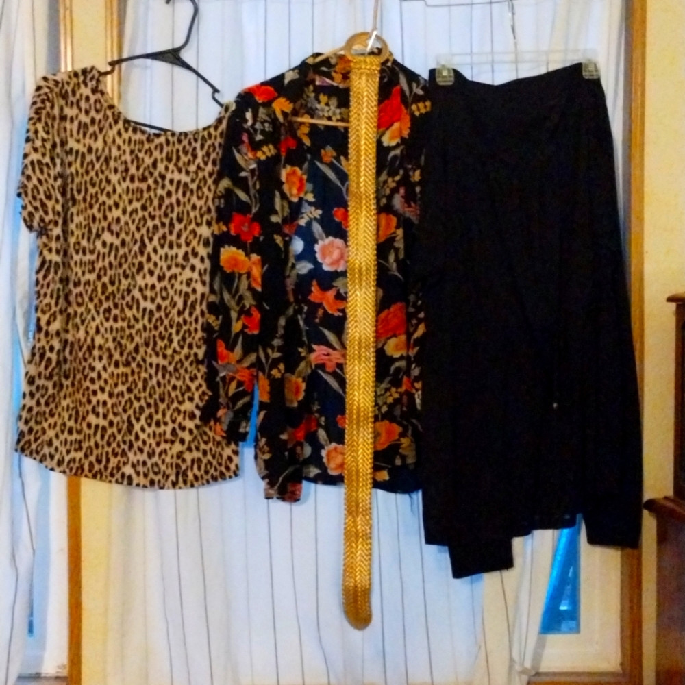 Vintage Cheetah Print, Oriental Poppy Blouse I Black Jumpsuit with fleece lined